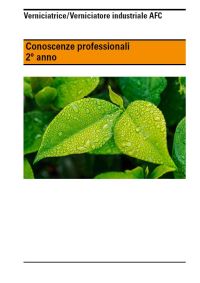 Conoscenze professionali verniciatore indistriale AFC - 2° anno